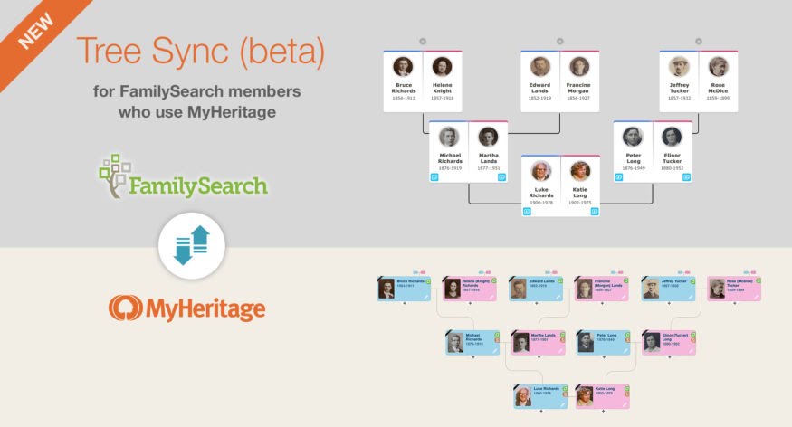 myheritage family tree builder 8.0 menu bar does not work myheritage family tree builder 8.0 menu bar does not work