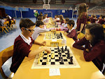 Campionat Escacs
