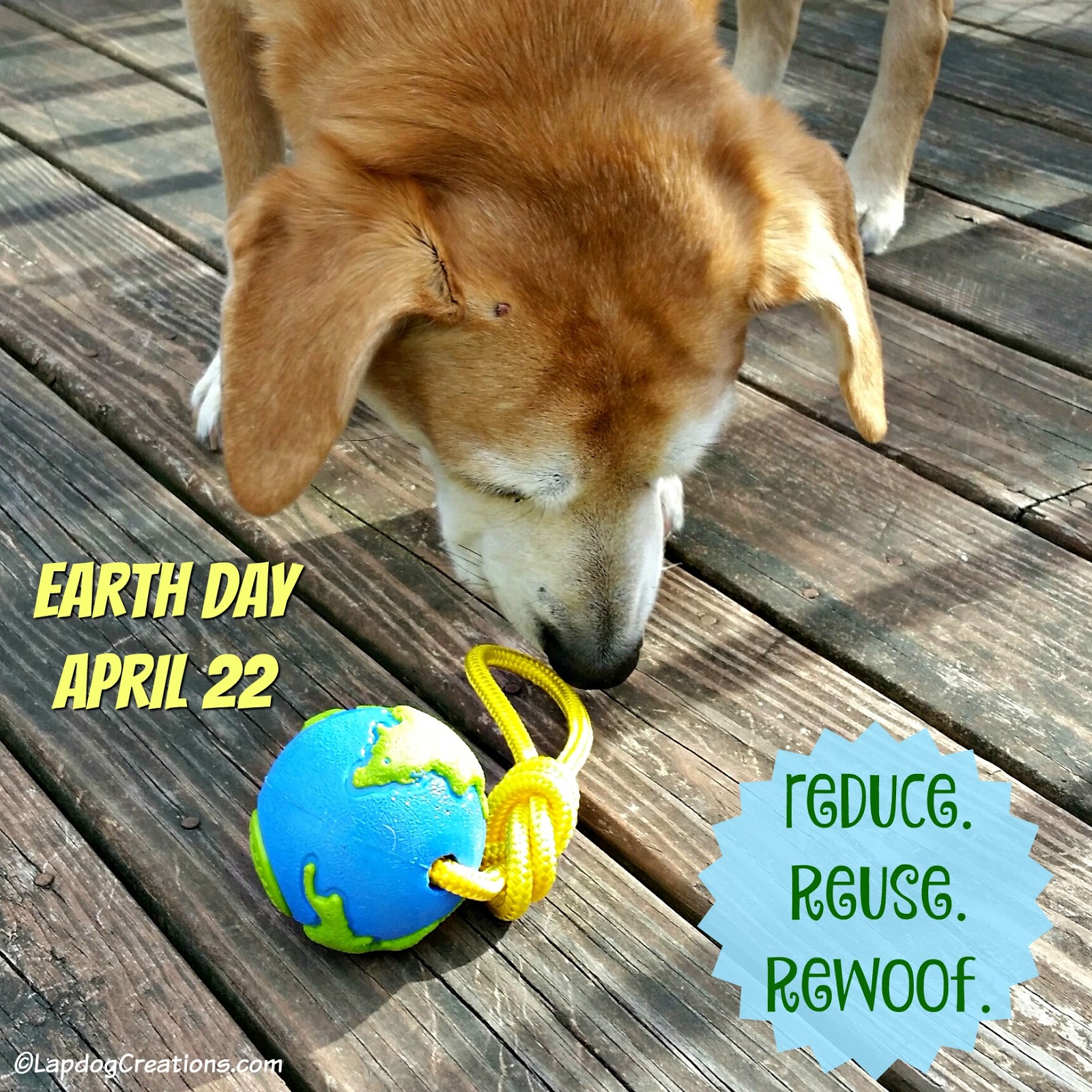 Lapdog Creations Celebrate Earth Day with Dog Toys EarthDay