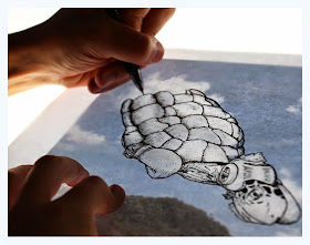 06-Boxing-Turtle-Cloud-Detail-Martín-Feijoó-Images-in-the-Sky-Cloud-Drawings-www-designstack-co