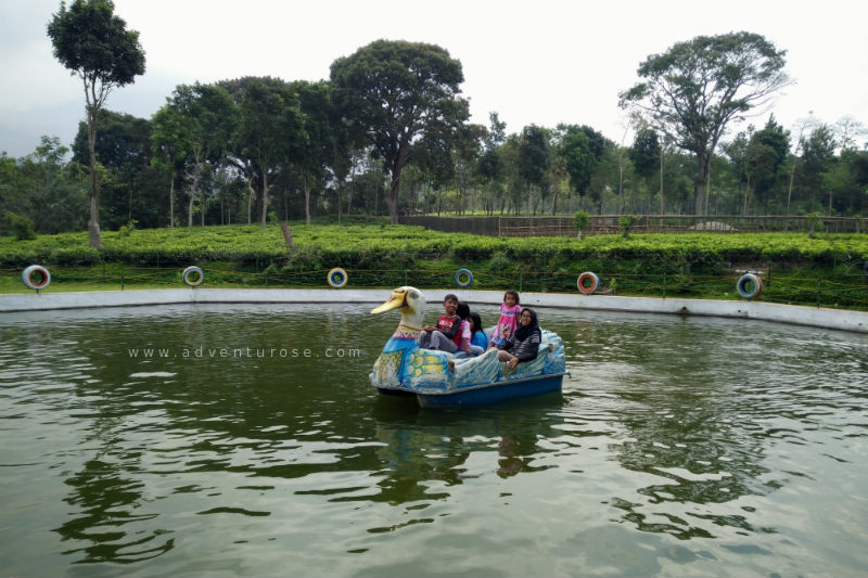 Adventurose | Because Life is an Adventure: Piknik Asyik di Kebun Teh Wonosari Malang