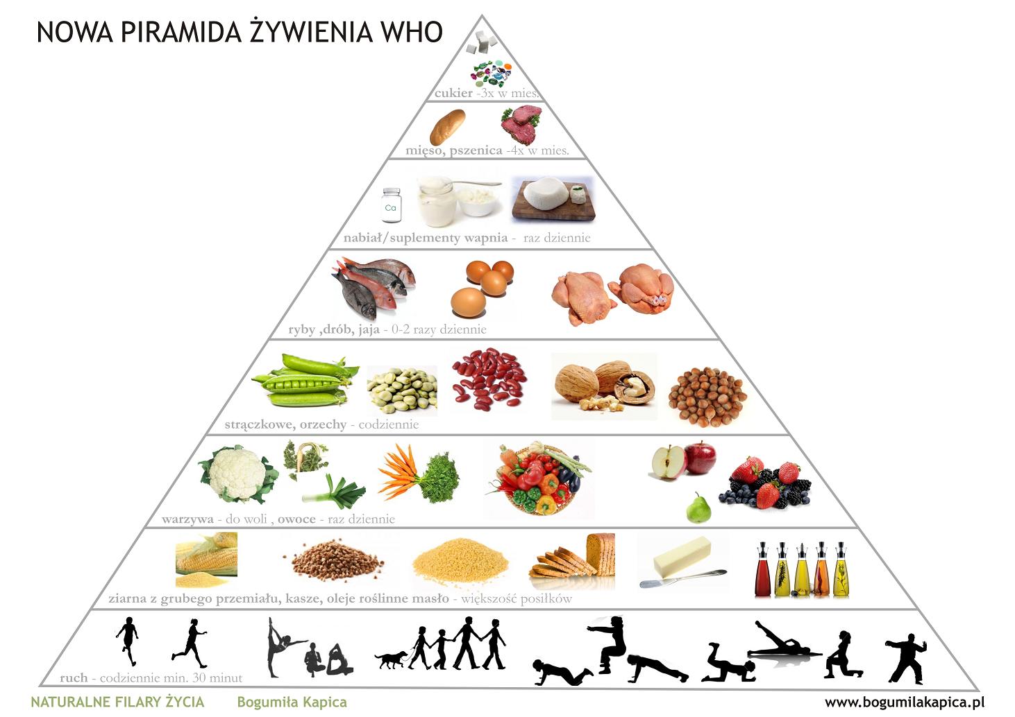 Укажите уровни пищевой пирамиды начиная с продуктов. Пищевая пирамида Уолтера виллетта. Пирамида здорового питания Гарвард. Пищевая пирамида 5 класс. Пирамида питания здорового человека.