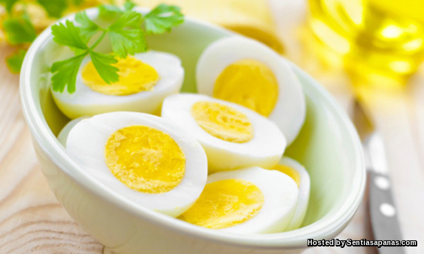 Telur Bantu Tahan Perut Daripada Lapar! Telur+Menahan+Lapar