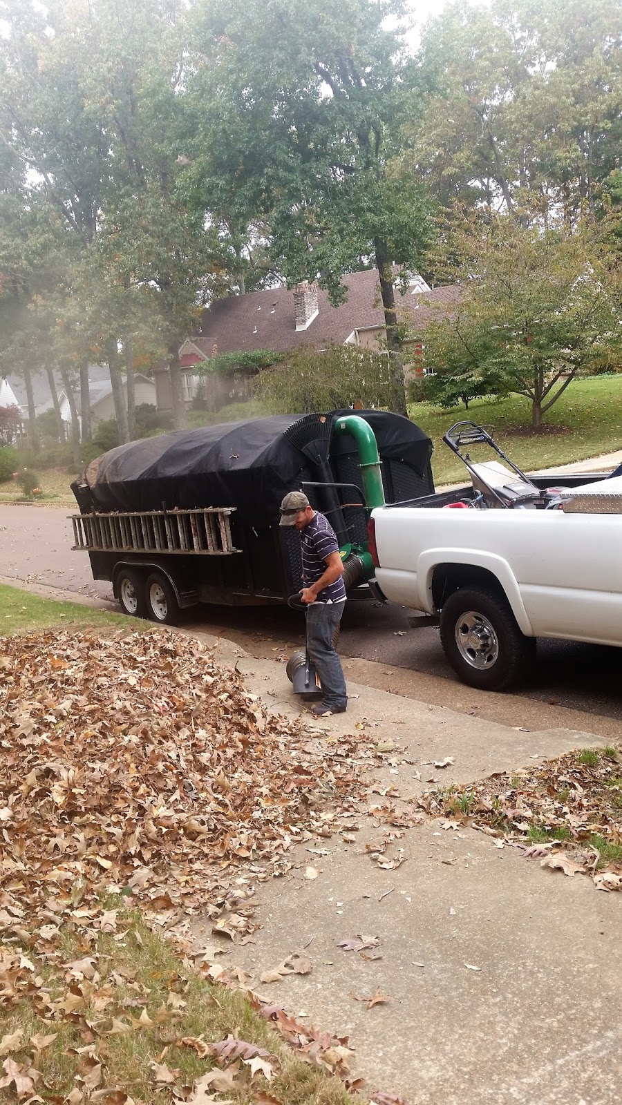 Mow & Blow Lawn Service, LLC Mulching, Raking, & Blowing Leaves
