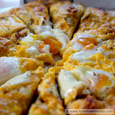This pizza combines bacon, eggs, and potatoes with 2 kinds of cheese for a sensational savory breakfast pizza any time of day.