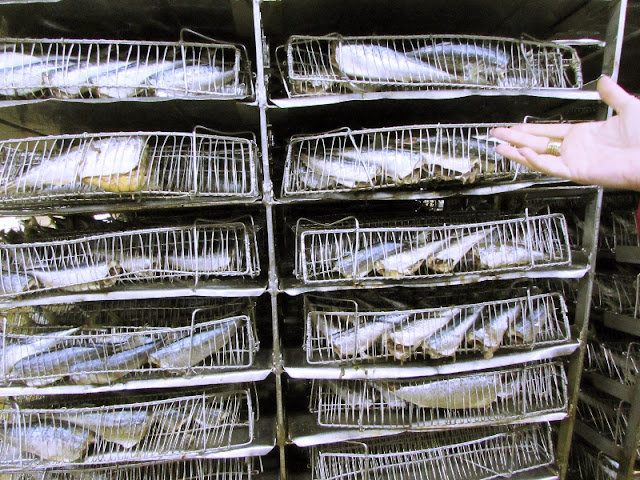 peixes nas grelhas de cozedura em fábrica de conservas