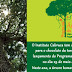Ilhéus - Concurso “Maiores Árvores da Região Sul da Bahia” busca o maior jequitibá para valorizar árvores centenárias
