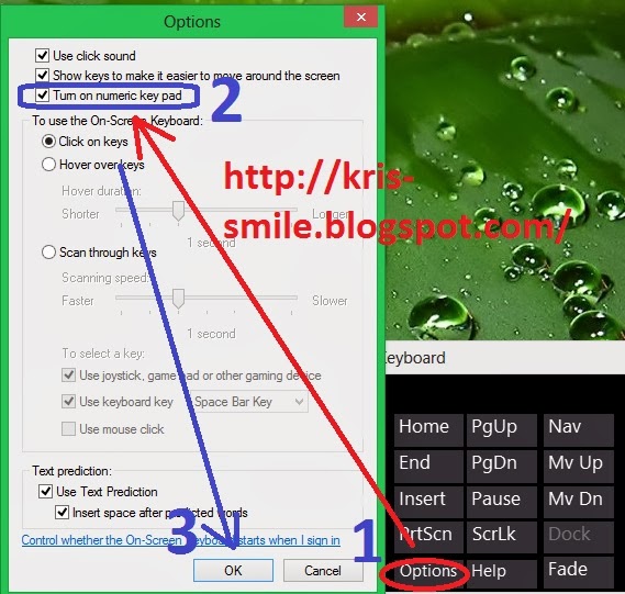 Cara Aktifkan Touch Keybord dan OnScreen Keyboard Windows 8 OM Kris