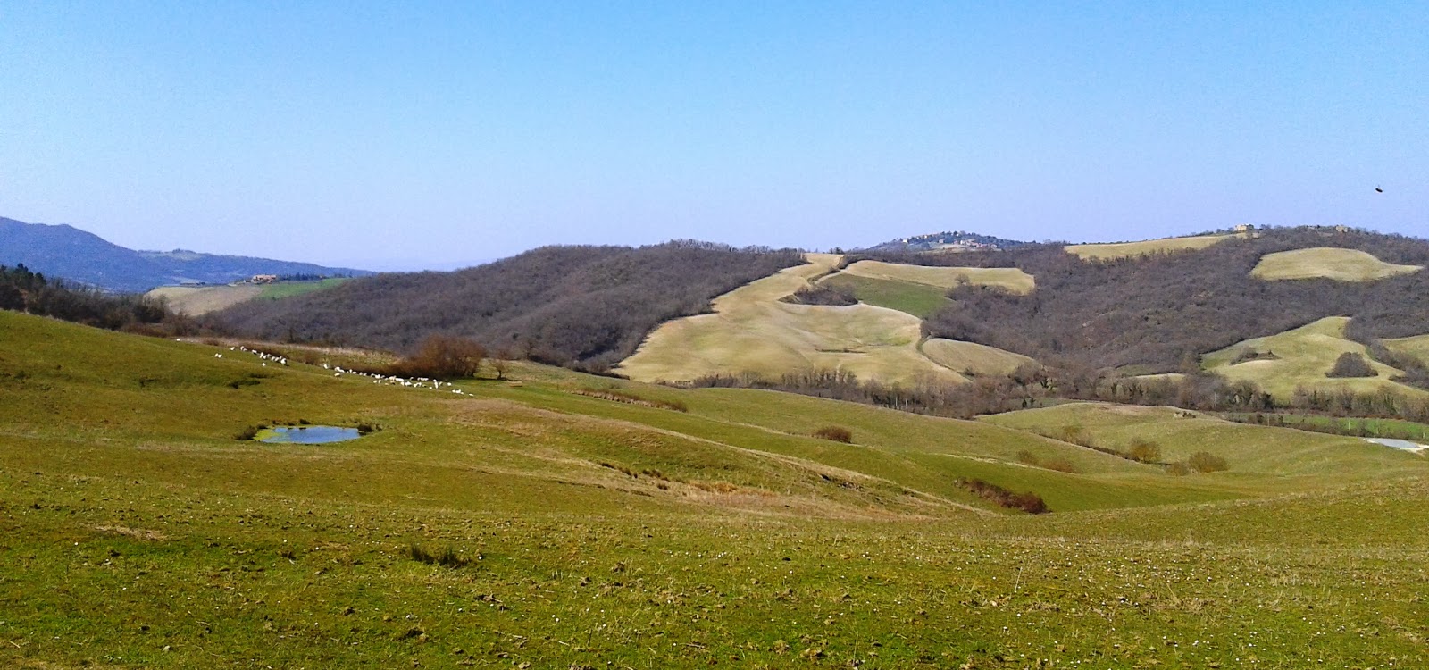 biketoursmtb Radicondoli Belforte Montingegnoli