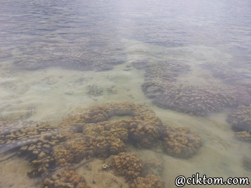 Batu karang di tepi pantai Pulau Kapas