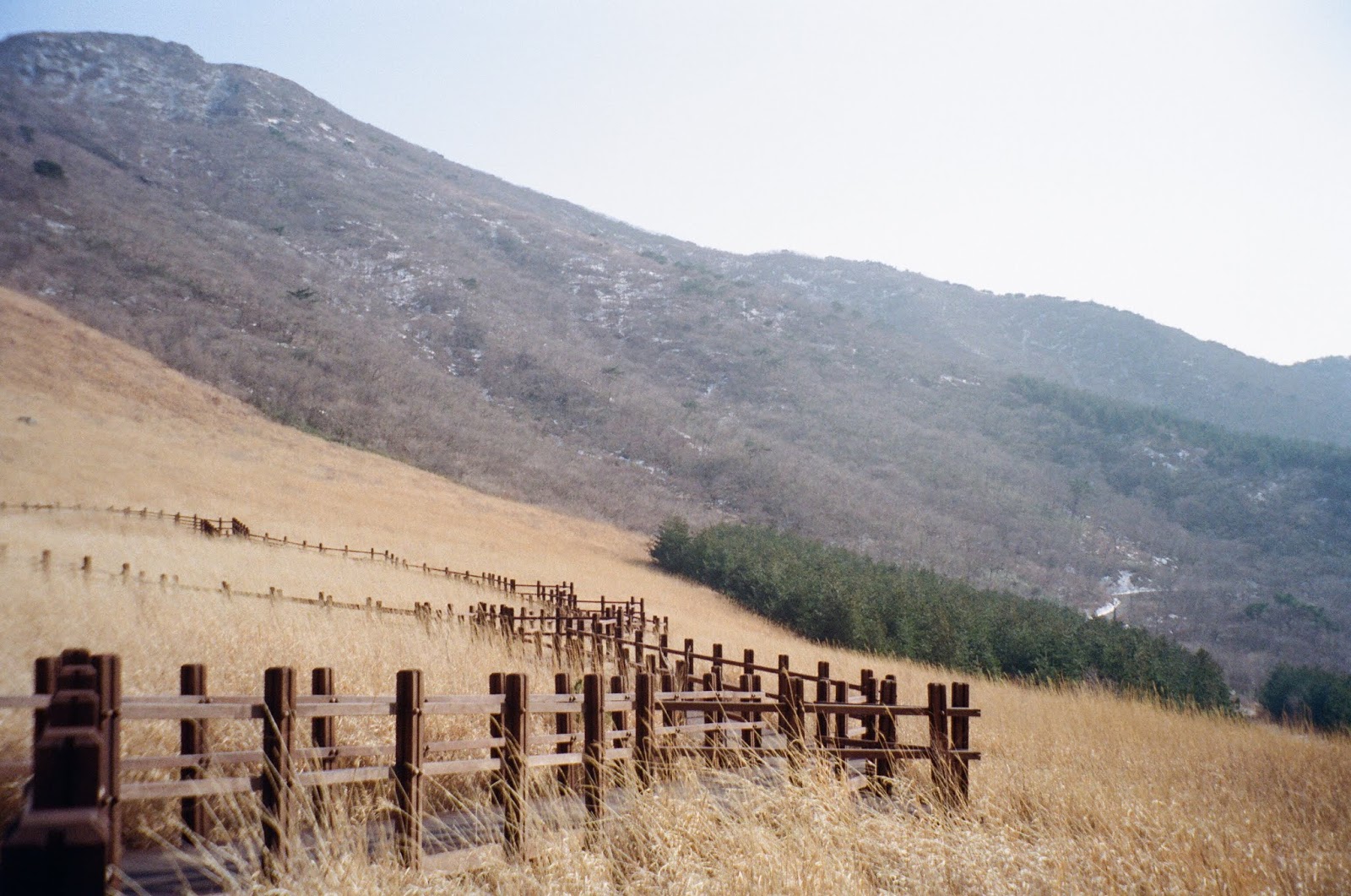 간월재 肝月嶺 신불산 神佛山 영남알프스 嶺南阿爾卑斯