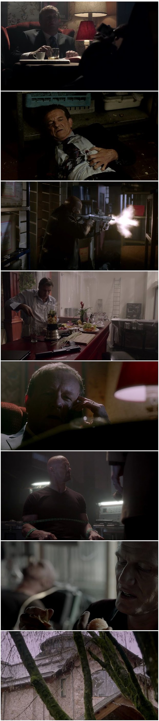 package.2013.dvdrip.jpg