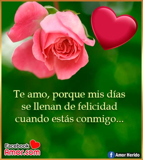 mensajes de amor con rosas mensajes de amor con rosas