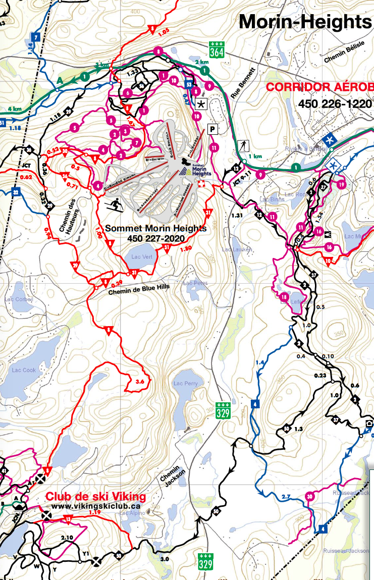 Skiglisse Sur la montagne de MorinHeights