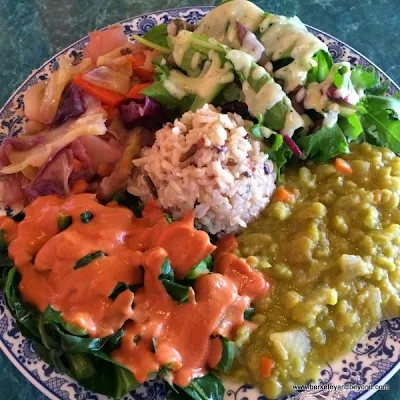 medium plate at Potala Vegan Restaurant in Albany, California