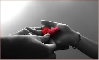 Amour 2017 Amour 2017