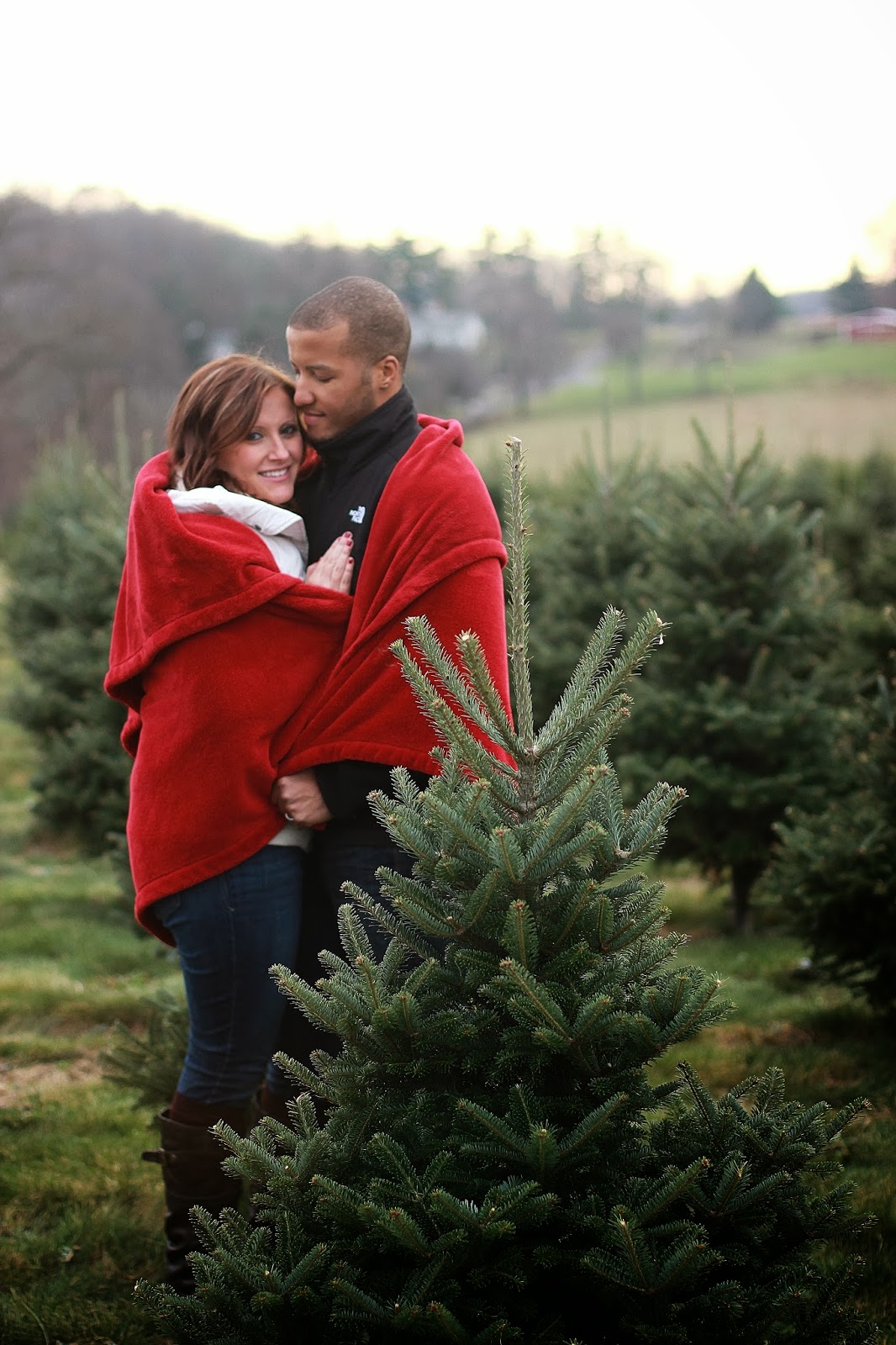Chic meets Healthy AMANDA + CHRIS PINE VALLEY CHRISTMAS TREE FARM