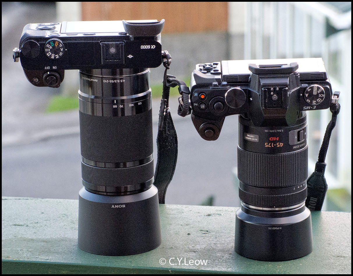 ☆ SONY E 55-210mm F4.5-6.3 OSS SEL55210 - カメラ