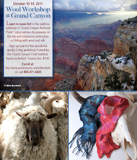 felting workshop at grand canyon