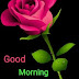 Top 10 good morning Images, Greetings, Pictures for whatsapp - bestwishespics