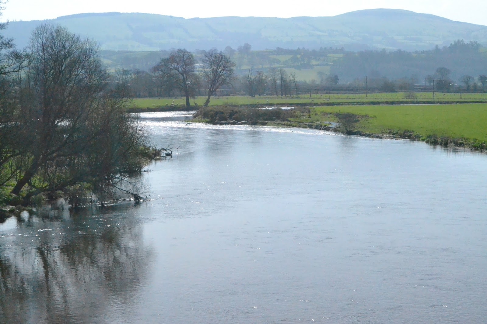 Nickseatrout,s blog. Fishing the river towy for salmon and sea trout