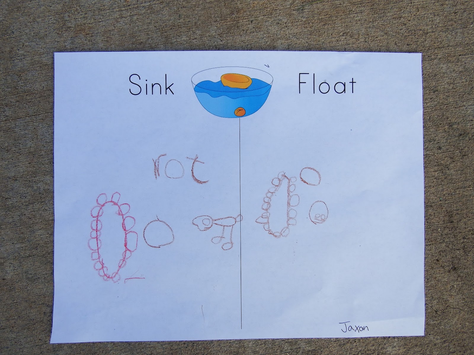 Chipman #39 s Corner Preschool: Sink or Float Center