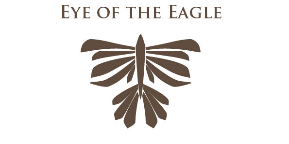 eye of the eagle