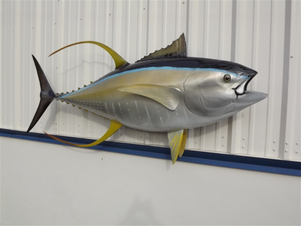Selling Yellowfin Tuna GG Product in Fishwife Store Yellowfin Tuna Factory, Indonesia Tuna