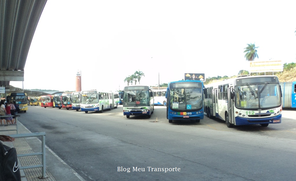 Meu Transporte Horários dos ônibus de Recife e Região Metropolitana, Confira