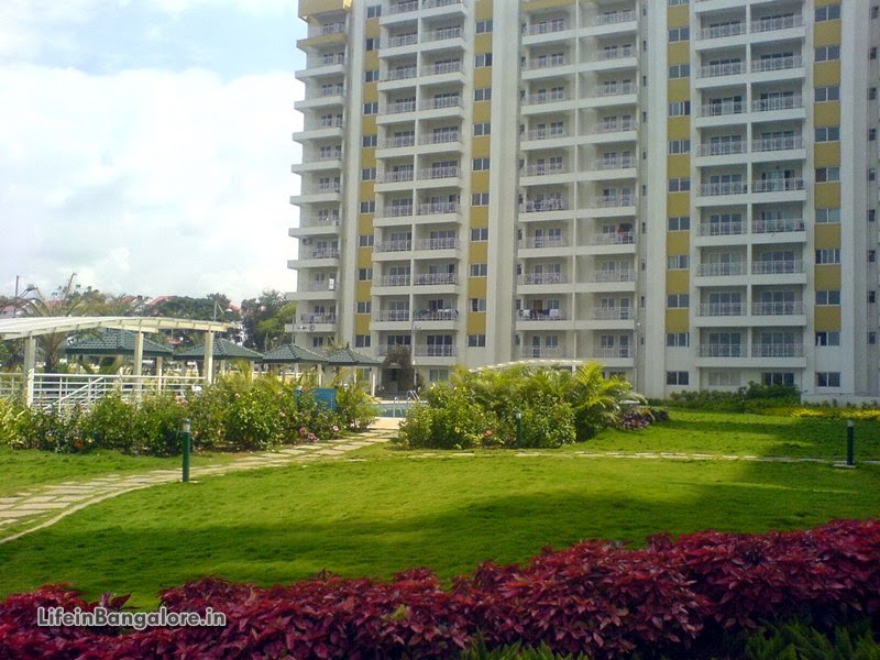 LifeinBLR Life in Bangalore Mantri Flora Apartments Sarjapur ORR Junction Amblipura Album