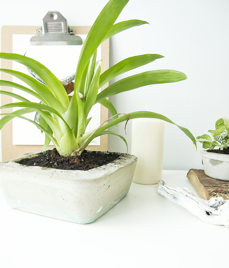 Diy, cómo hacer macetas de cemento