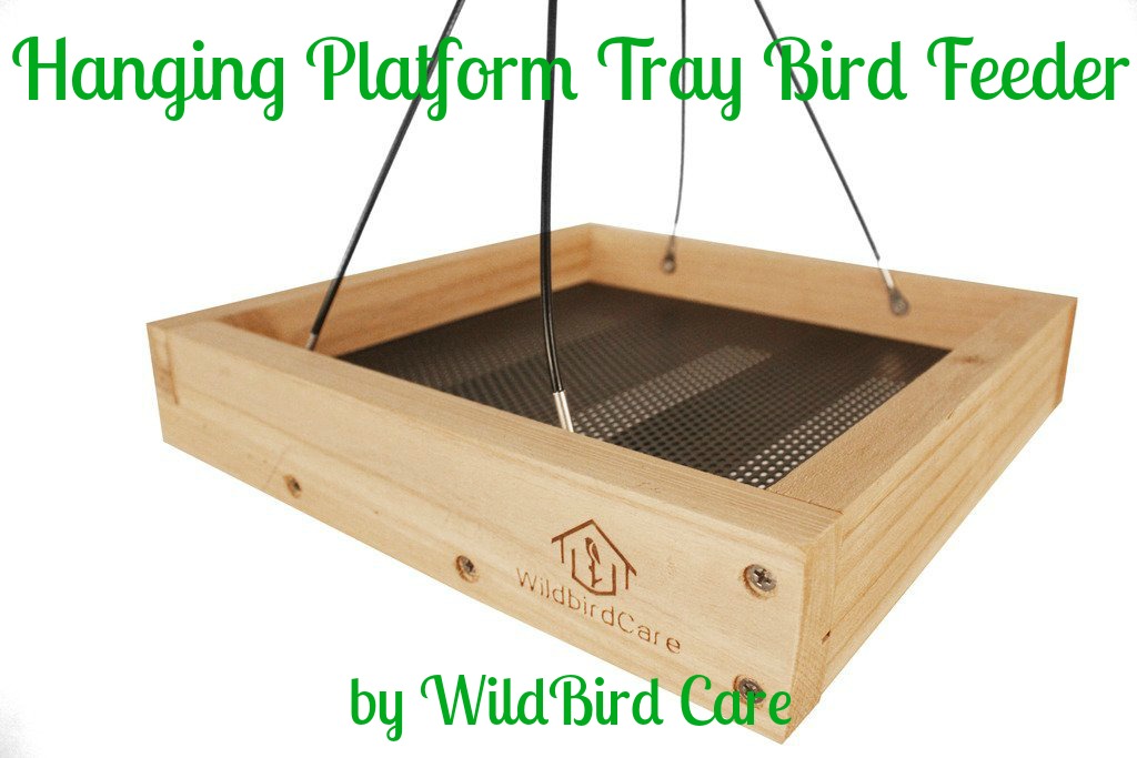 GlamRiver Hanging Platform Tray Bird Feeder by WildBird Care