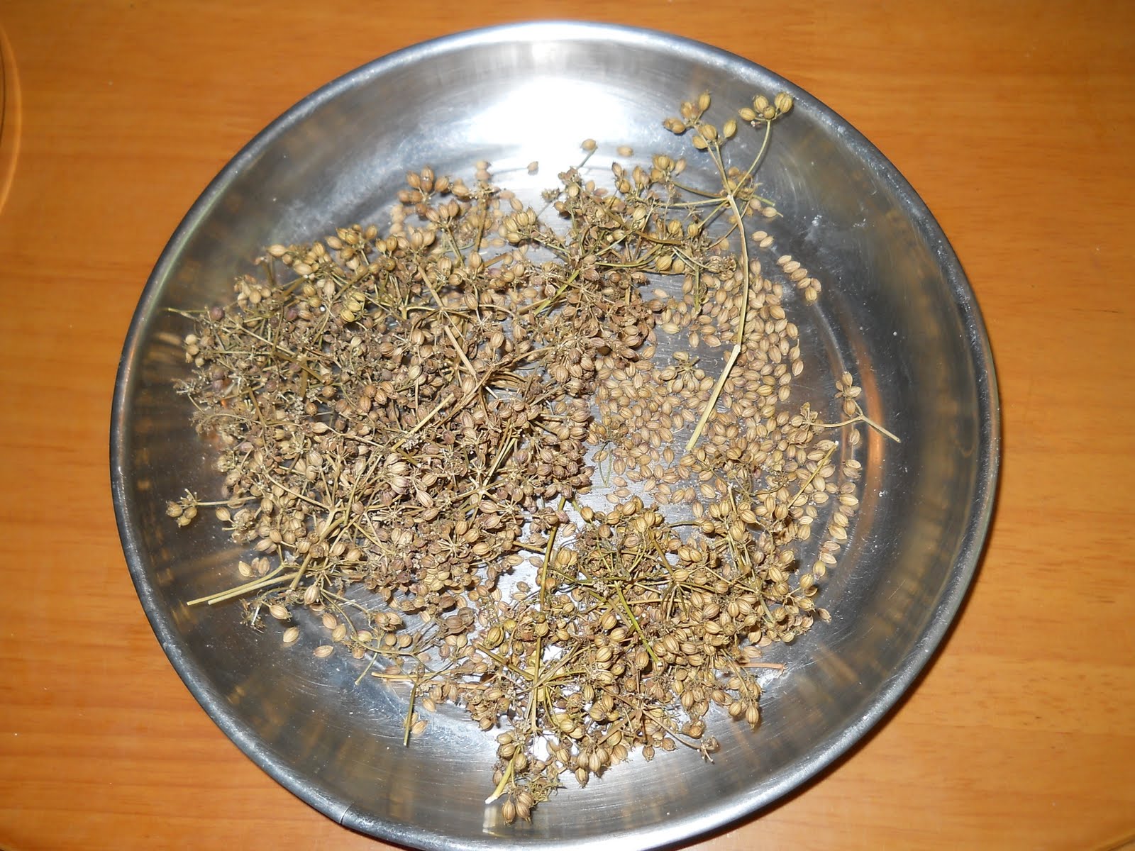 Red Ripe Tomatoes Coriander From Seed To Seed