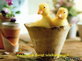 Share week i Wielkanoc