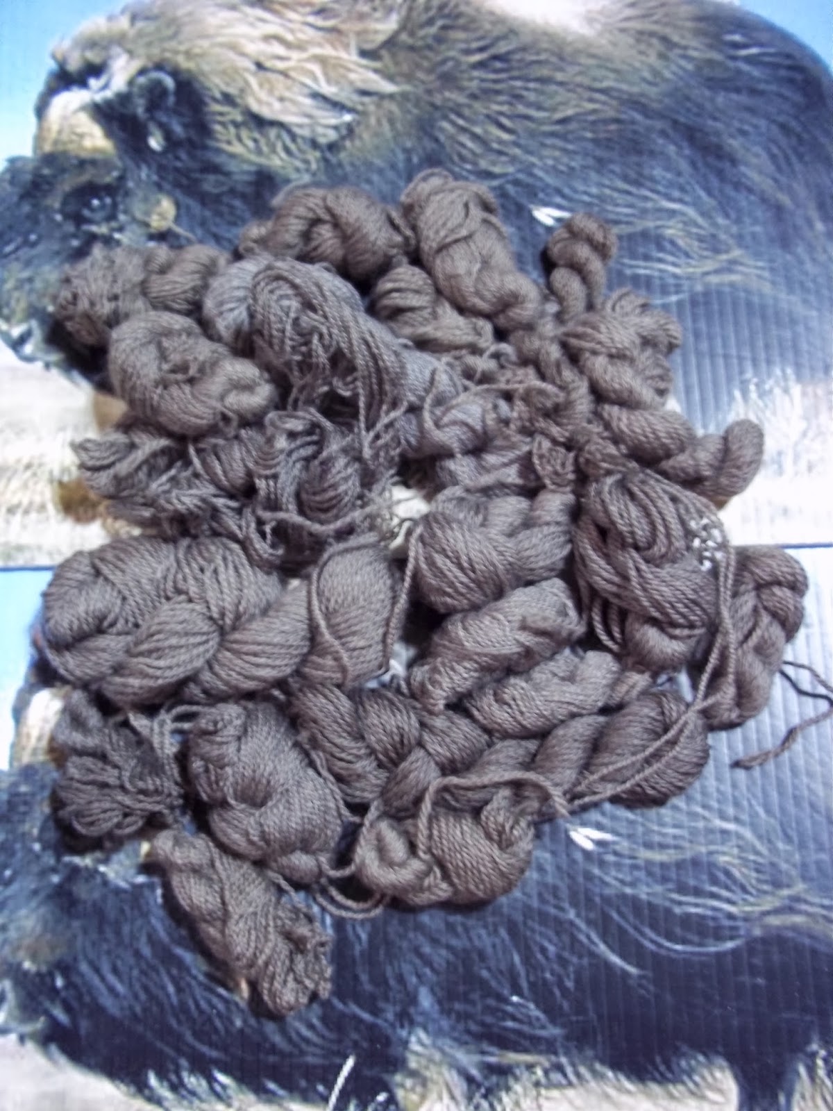 The Musk Ox Qiviut Blog 100 Pure Qiviut Mill Ends Giveaway For 