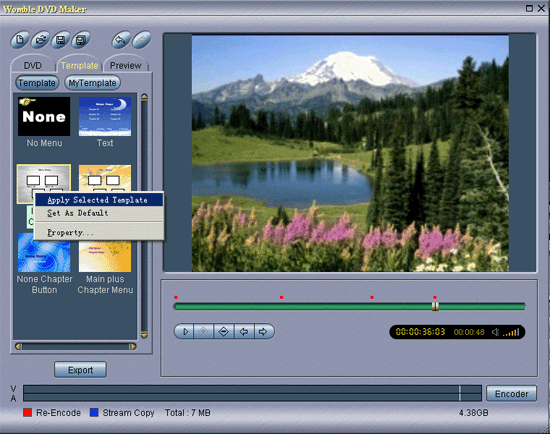 download dvd wizard pro