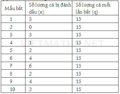 học các phần về đại lượng tỉ lệ để trở thành đại gia nhiều tiền hoc toan ti le de tro thanh dai gia ca