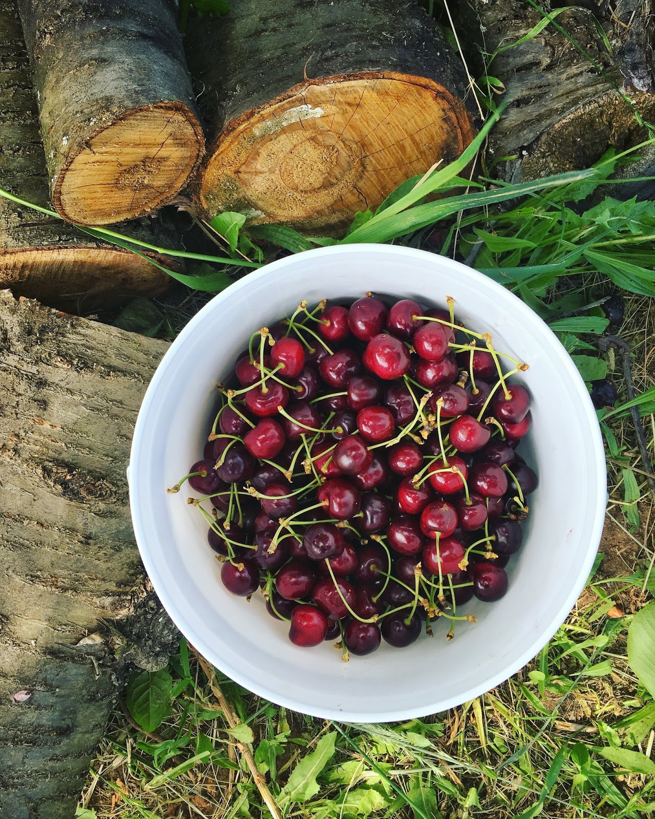 Cherry Coffee Cake Recipe Pie Filling Cherry Coffee Cake Recipe Pie Filling