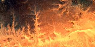Allegory the burning forest,Stone plant fantasy,Abstract Naturalism,abstract photography deserts of Africa from the air,abstract surrealism,mirage in desert,fantasy forms ,colors plants,leaves,roots Allegory the burning forest,Stone plant fantasy,Abstract Naturalism,abstract photography deserts of Africa from the air,abstract surrealism,mirage in desert,fantasy forms ,colors plants,leaves,roots