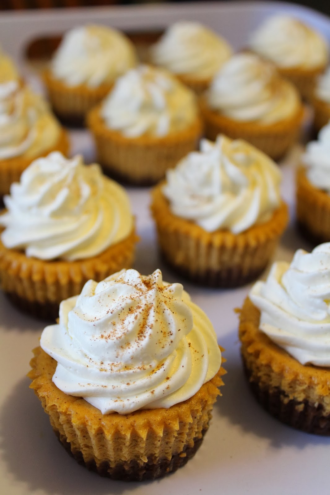 Blog as you Bake: Pumpkin Cheesecake Cupcakes