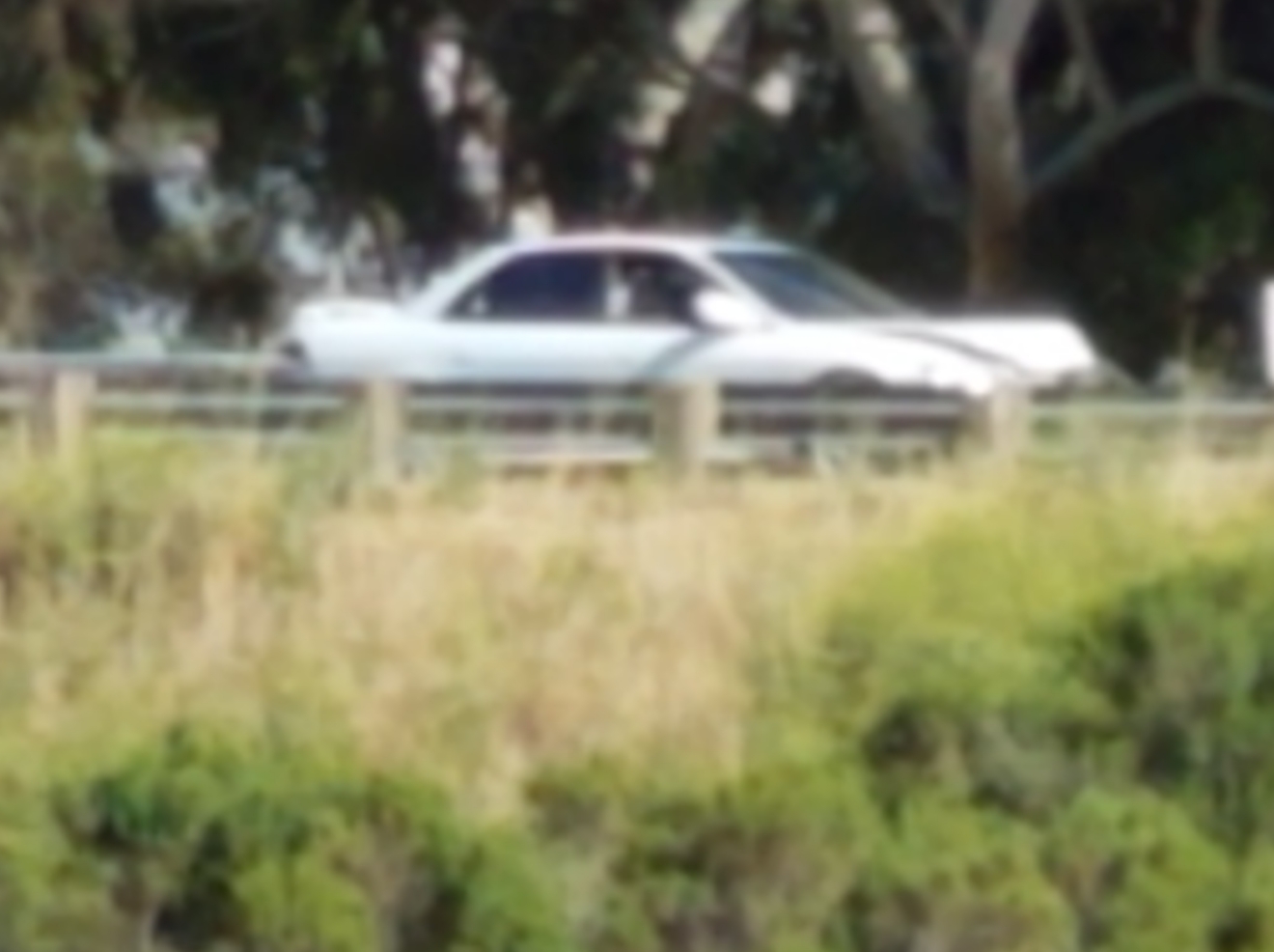 1 vehicle spin out crash in King City