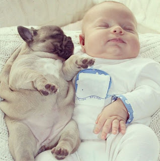 Foto tierna de bebé y cachorro de perro