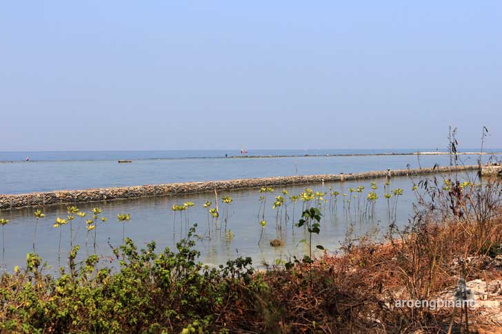 pulau panjang jepara