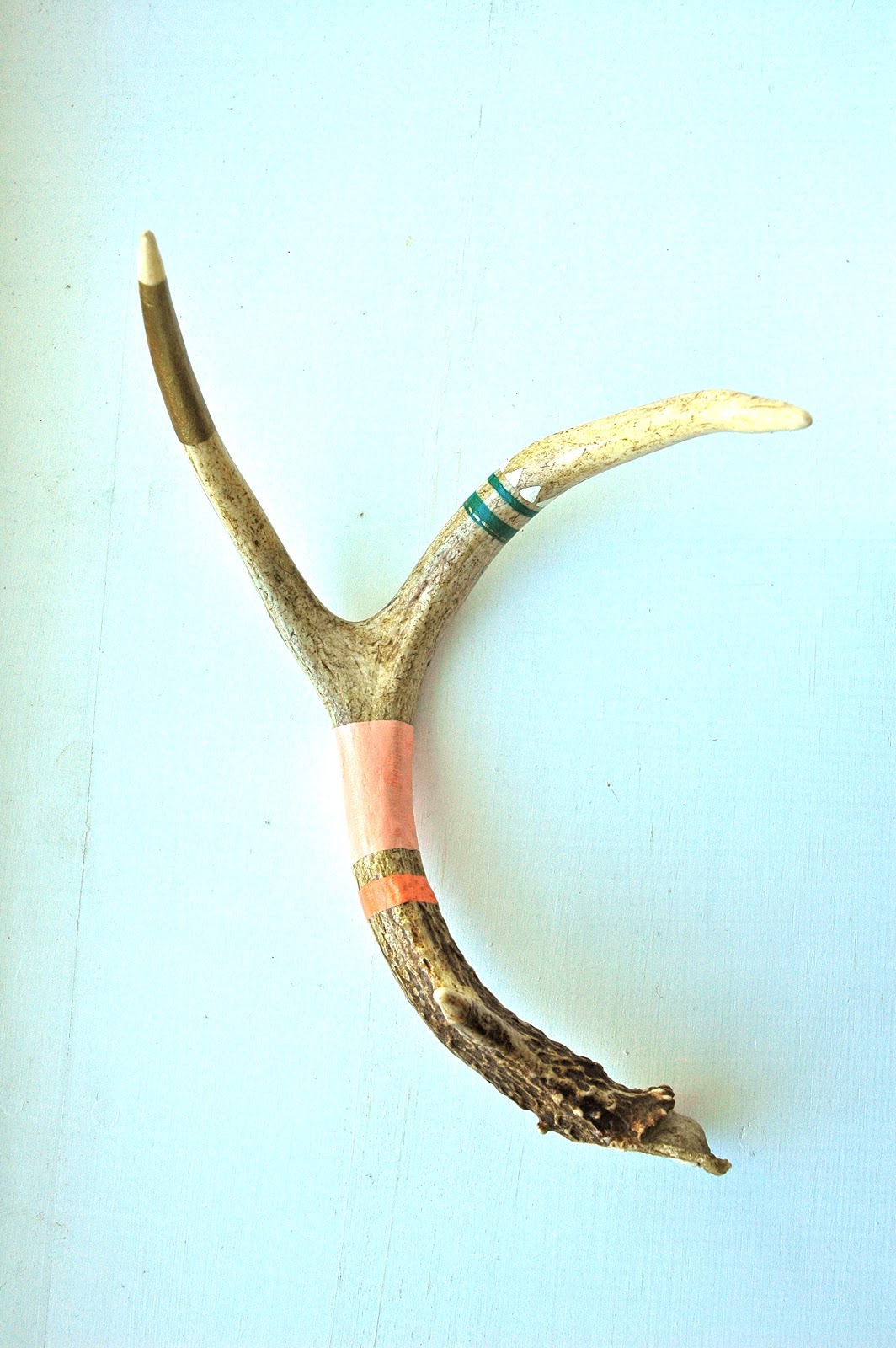 Hannah Loumeau Leonard: Hand painted Deer Antlers