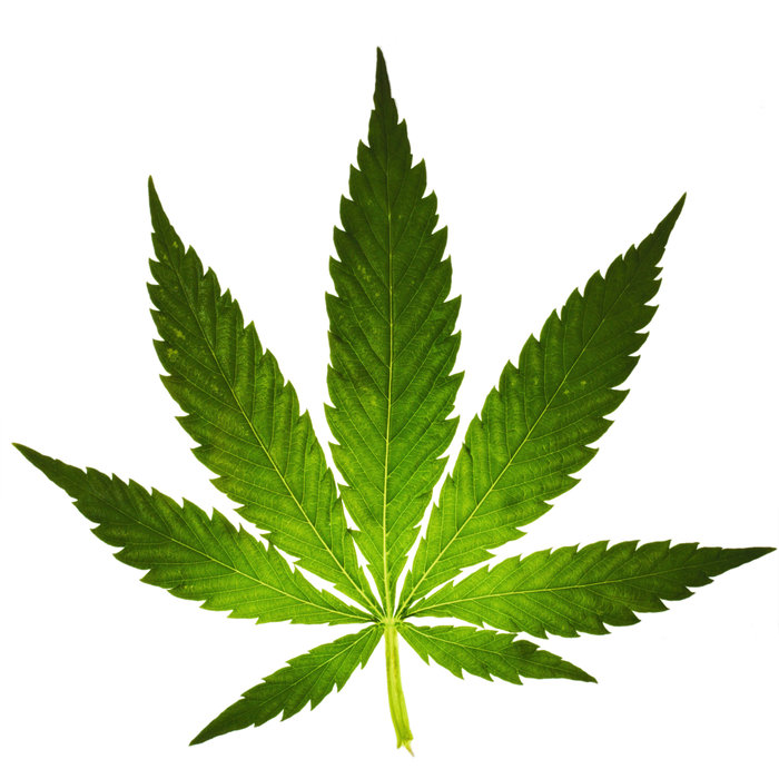 Medizinisches Cannabis - Öl - hier verfügbar