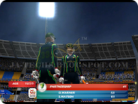 EA Cricket 2013 Screenshot 5