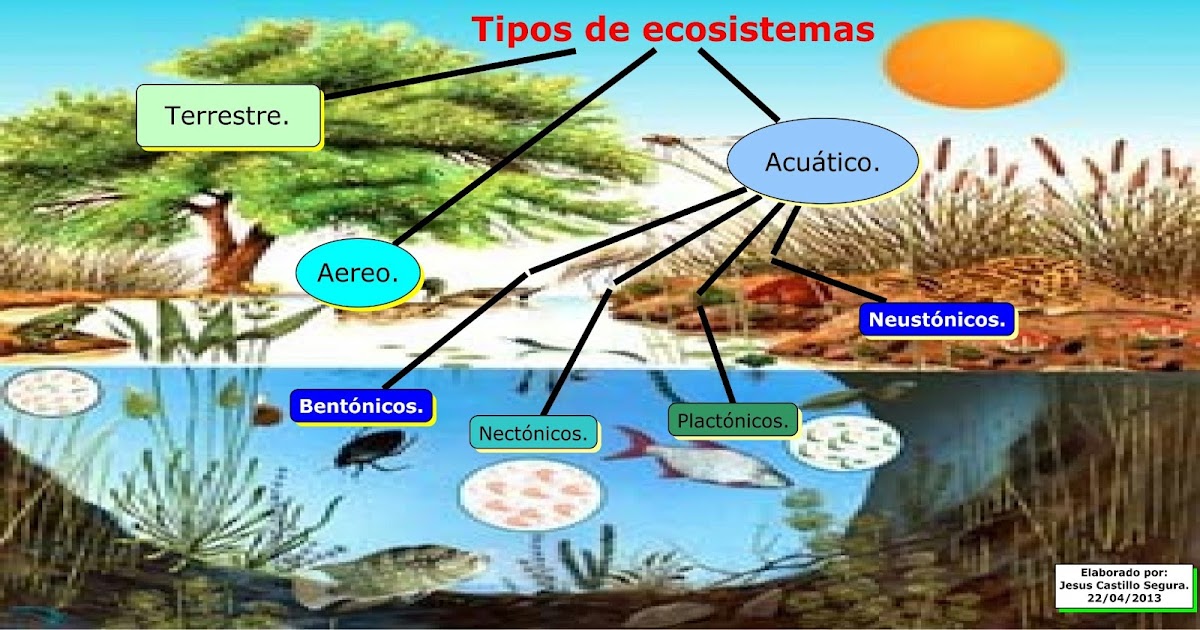 Los Ecosistemas Tipos De Ecosistemas