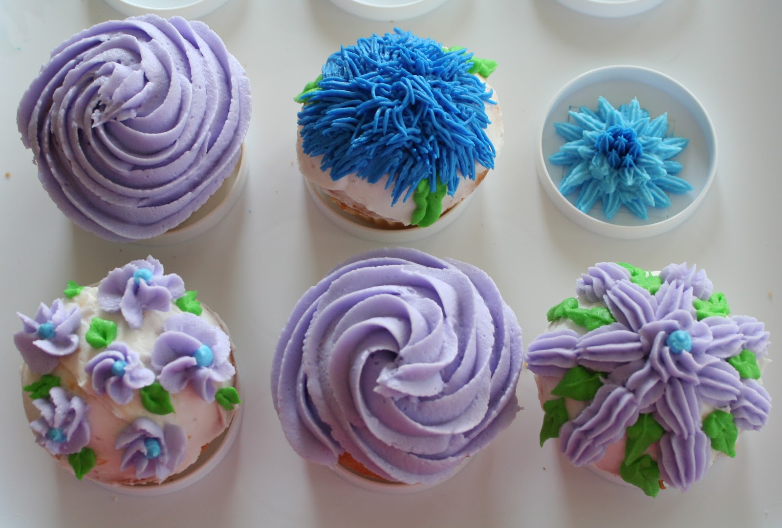 Julia's Baking Adventures Wilton Course 1 Decorating Basics (May/June 2011)