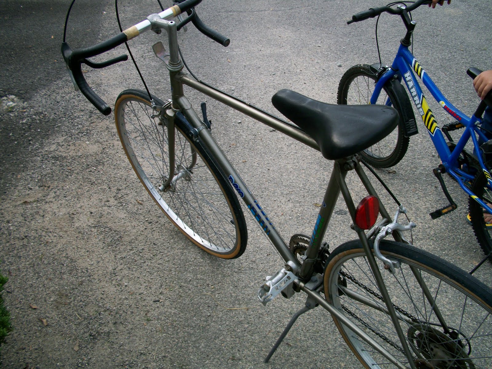 shimano tourney price