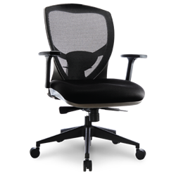 Ovation Chair Ovation Chair